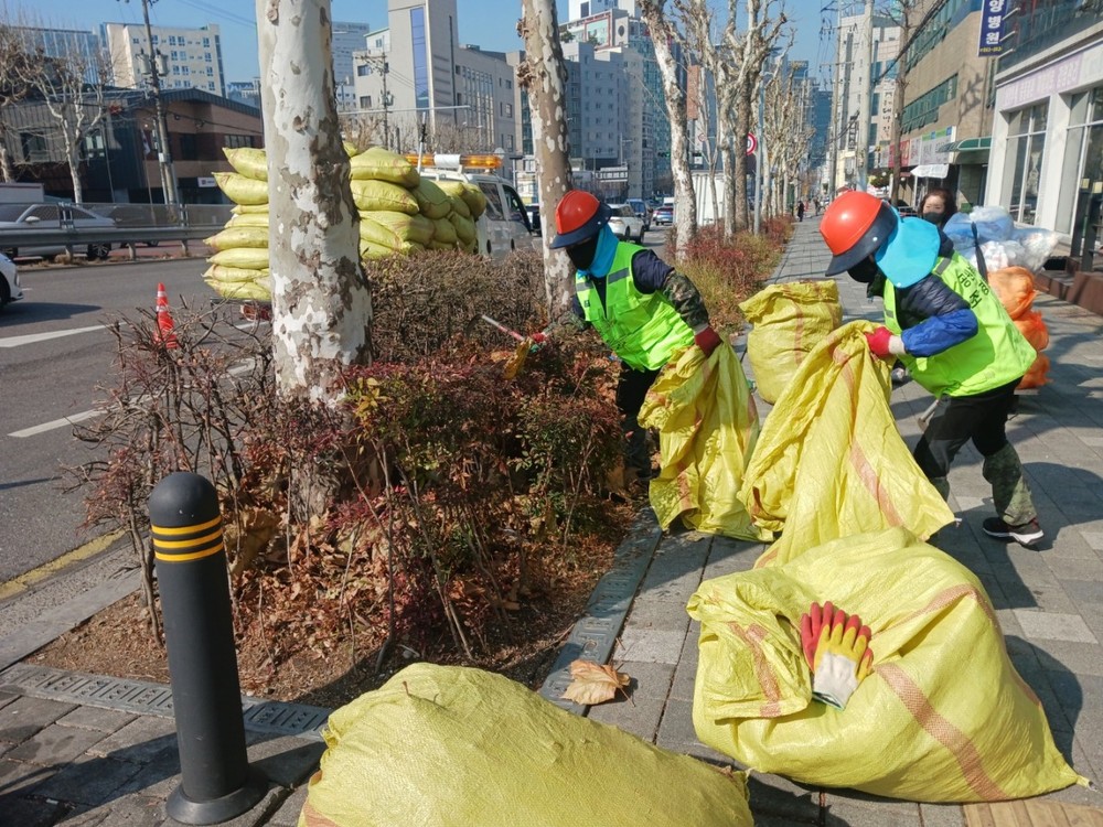 구로구, 새봄맞이 가로수·녹지대 정비 실시