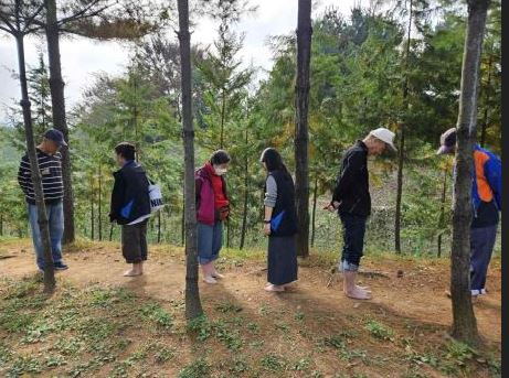 구로구, 어린이부터 성인까지 다양한 연령층 대상 숲해설 프로그램 운영