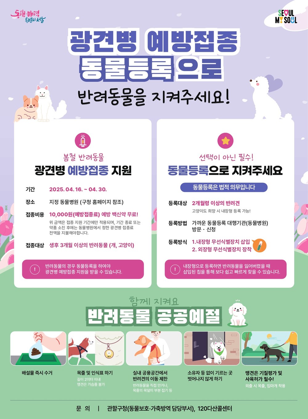 동대문구, 봄철 반려동물 광견병 예방접종 지원