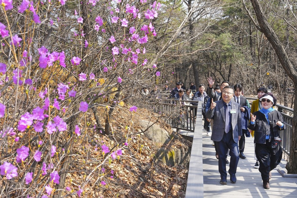 봉화산 동행길, 누적 이용객 300만 명 돌파! 중랑구, 걷기 좋은 도시로 자리매김