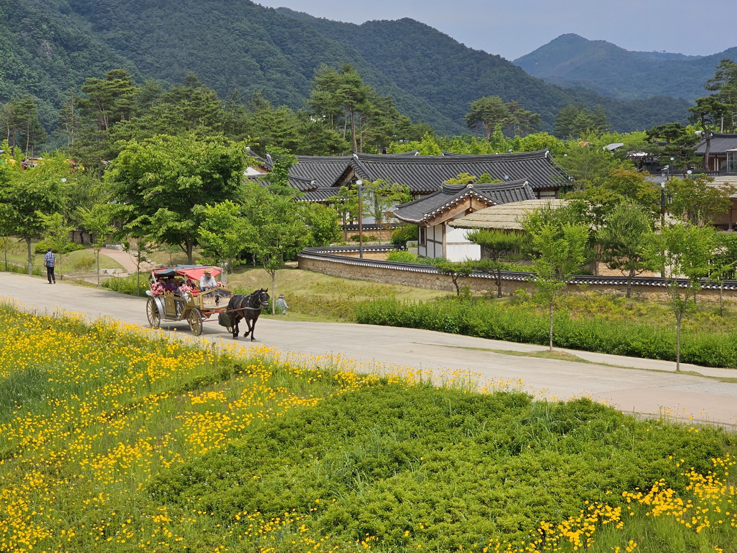 예천군 삼강문화단지, 새로운 힐링명소로 새단장!