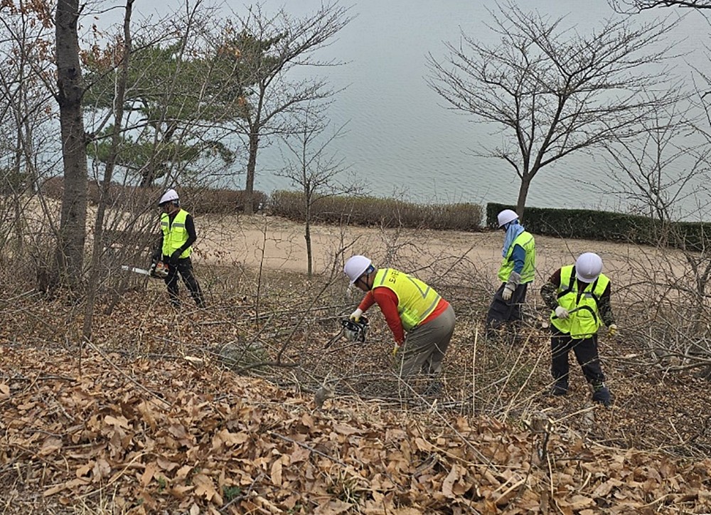 경주시, 보문호수 주변 환경정비로 쾌적한 경관 조성
