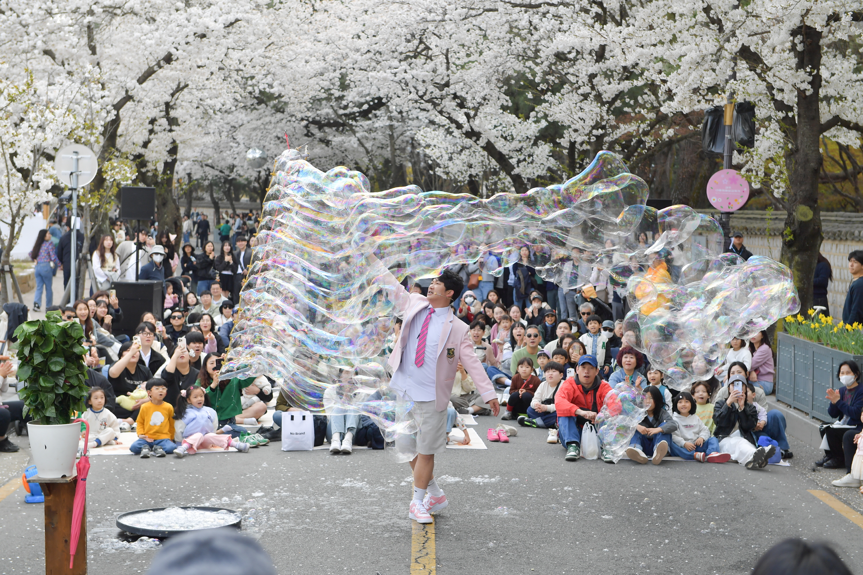 2025 경주 대릉원돌담길 축제’ 사흘간 14만 명 몰려 성황