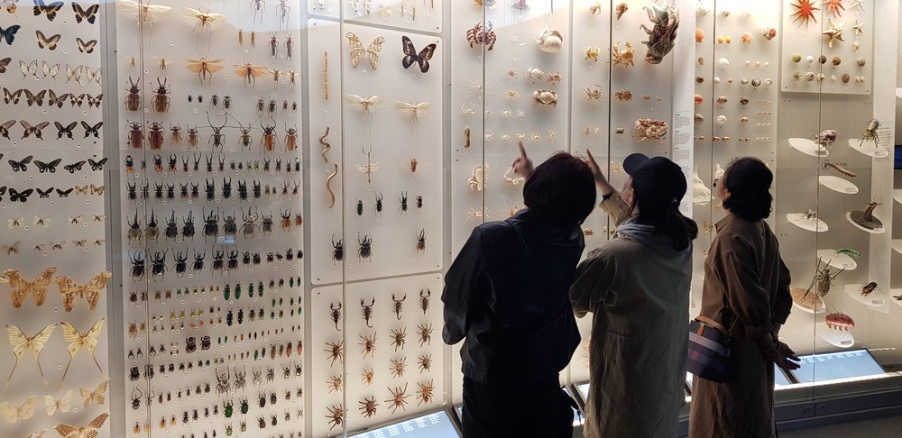 상주 낙동강에서 생물 다양성의 중요성을 배운다