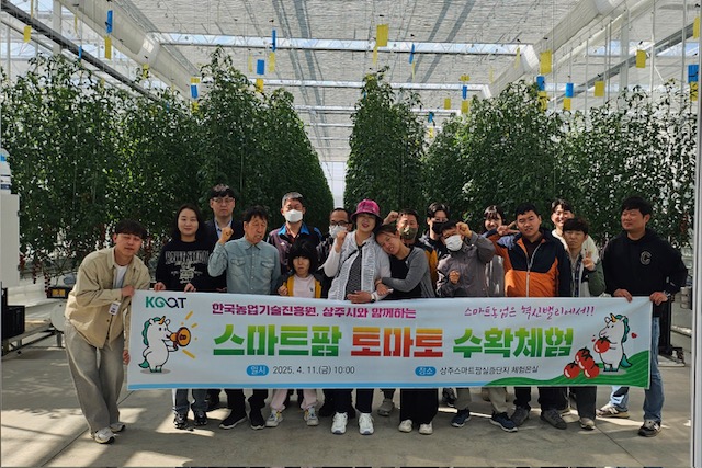 상주시, 스마트팜 실증단지서 ‘수확체험’ 첫 운영
