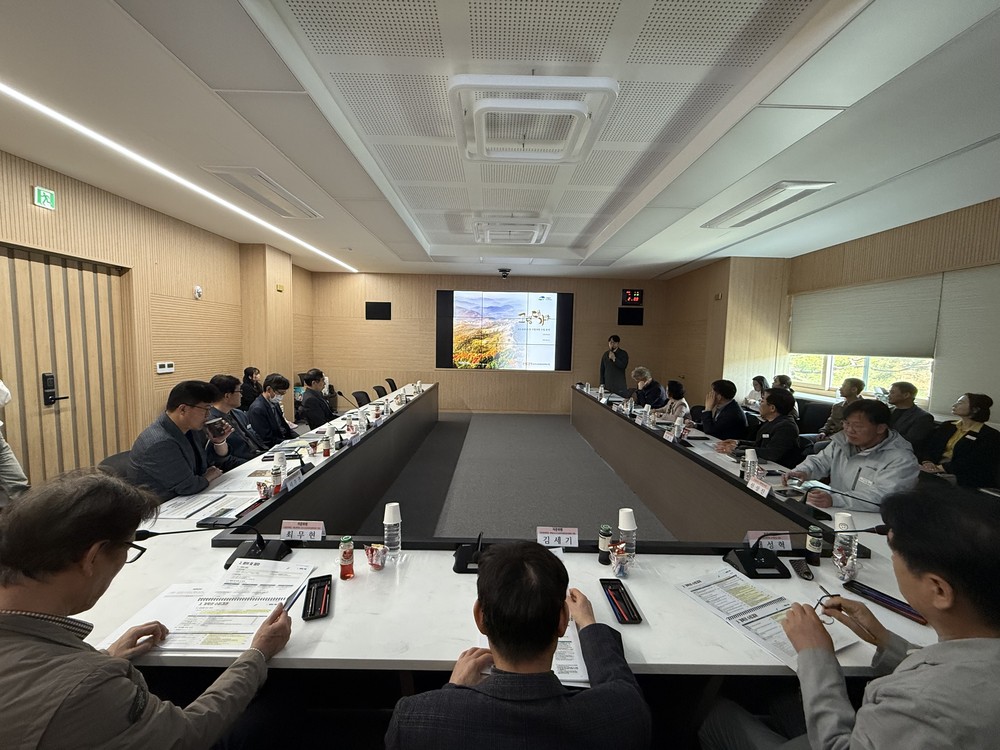 대가야 고도보존육성 시행계획 중간보고회 개최