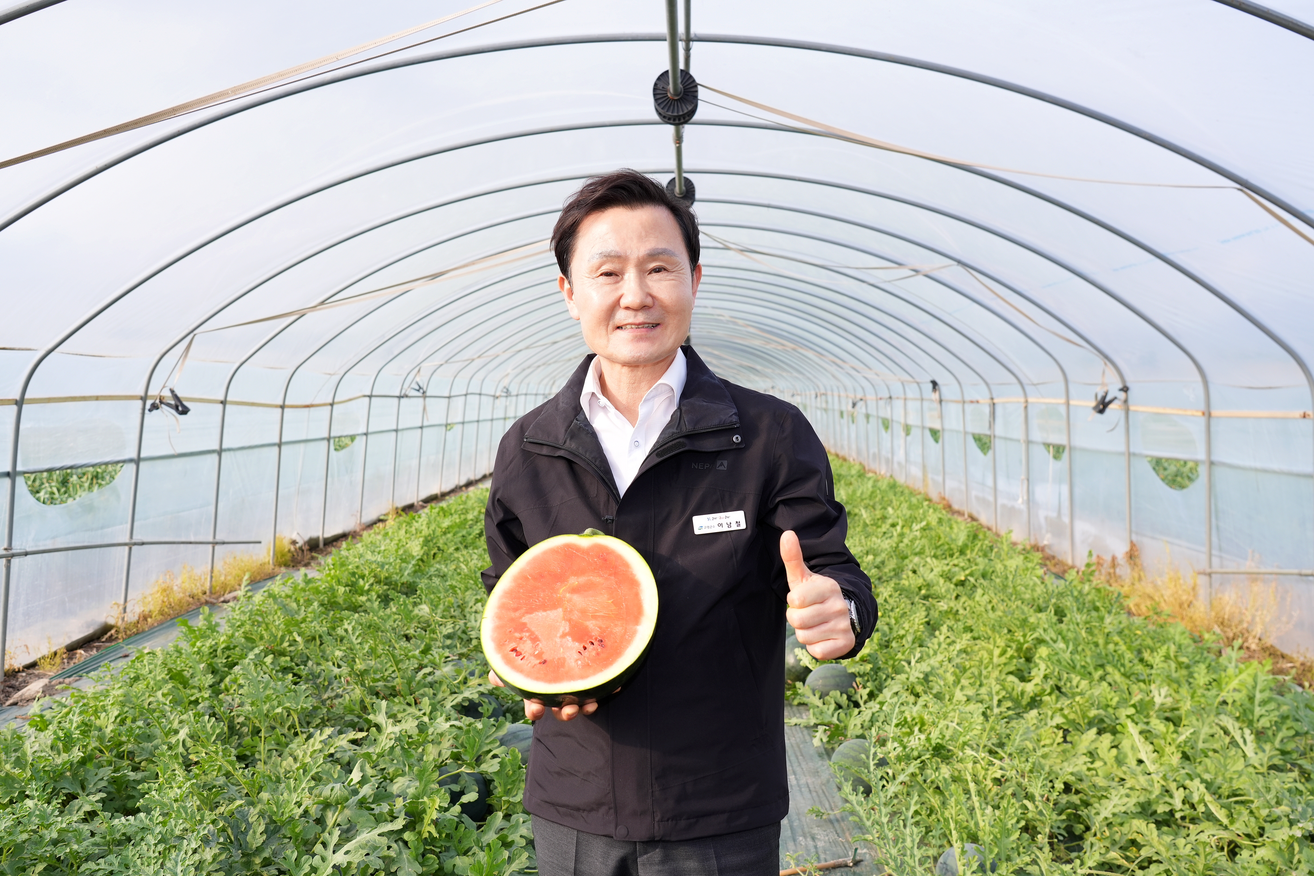 달콤시원한 고품질 우곡 수박! 드디어 첫 출하!