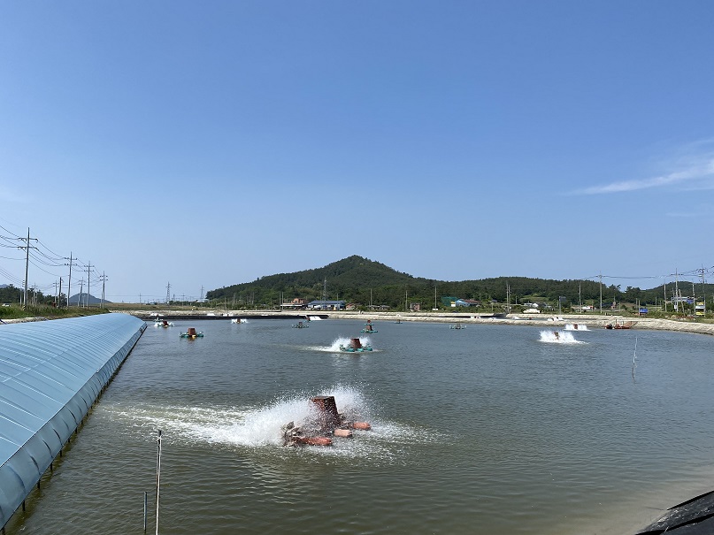 신안군, ‘청년 창업·임대형 양식단지 조성사업’ 150억 선정