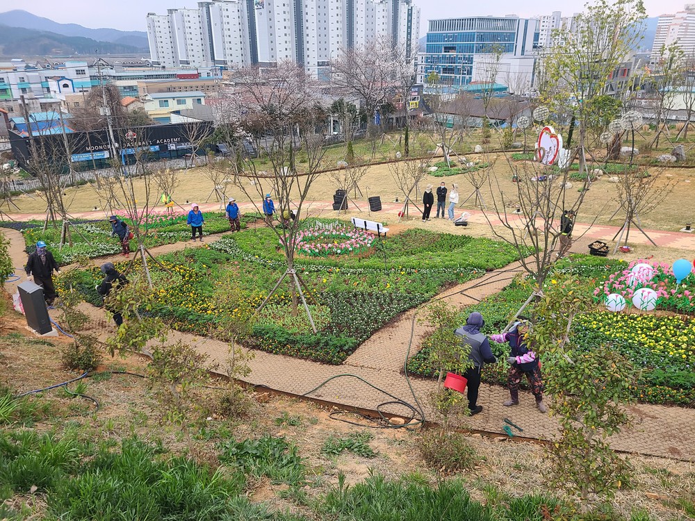 2025 화순 봄꽃 축제, 설렘 속 봄맞이 준비 한창
