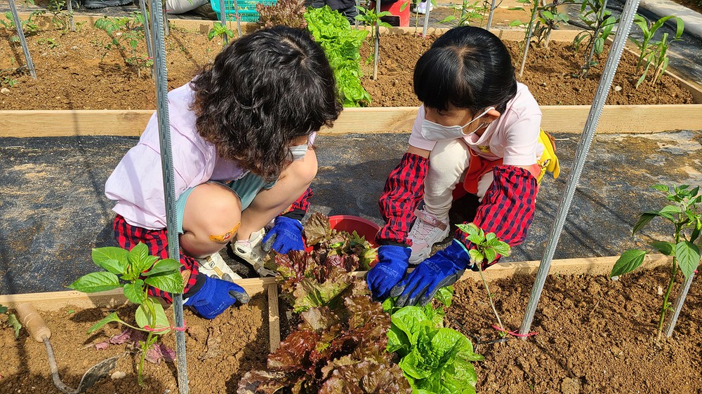 여수시농업기술센터, ‘2025 학교 도시농부 자투리텃밭’ 운영