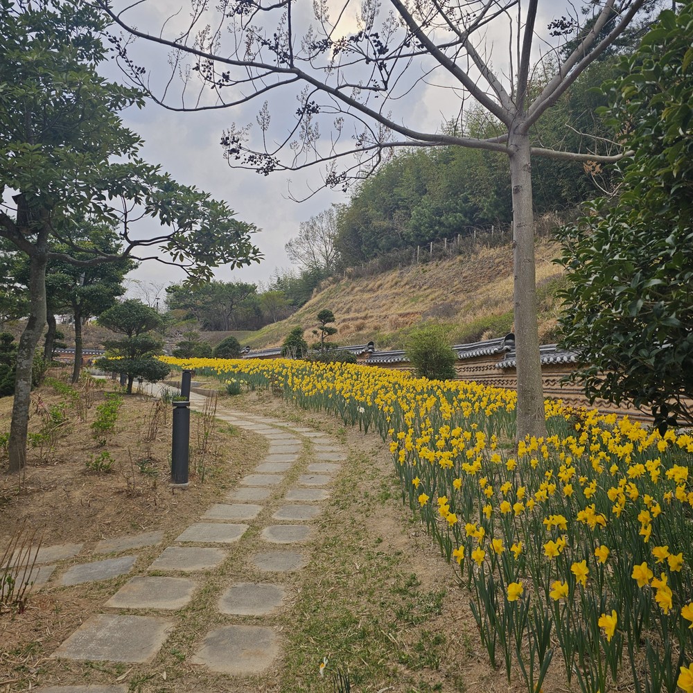 강진군, 사계절 꽃피는 ‘세계모란공원’ 새단장