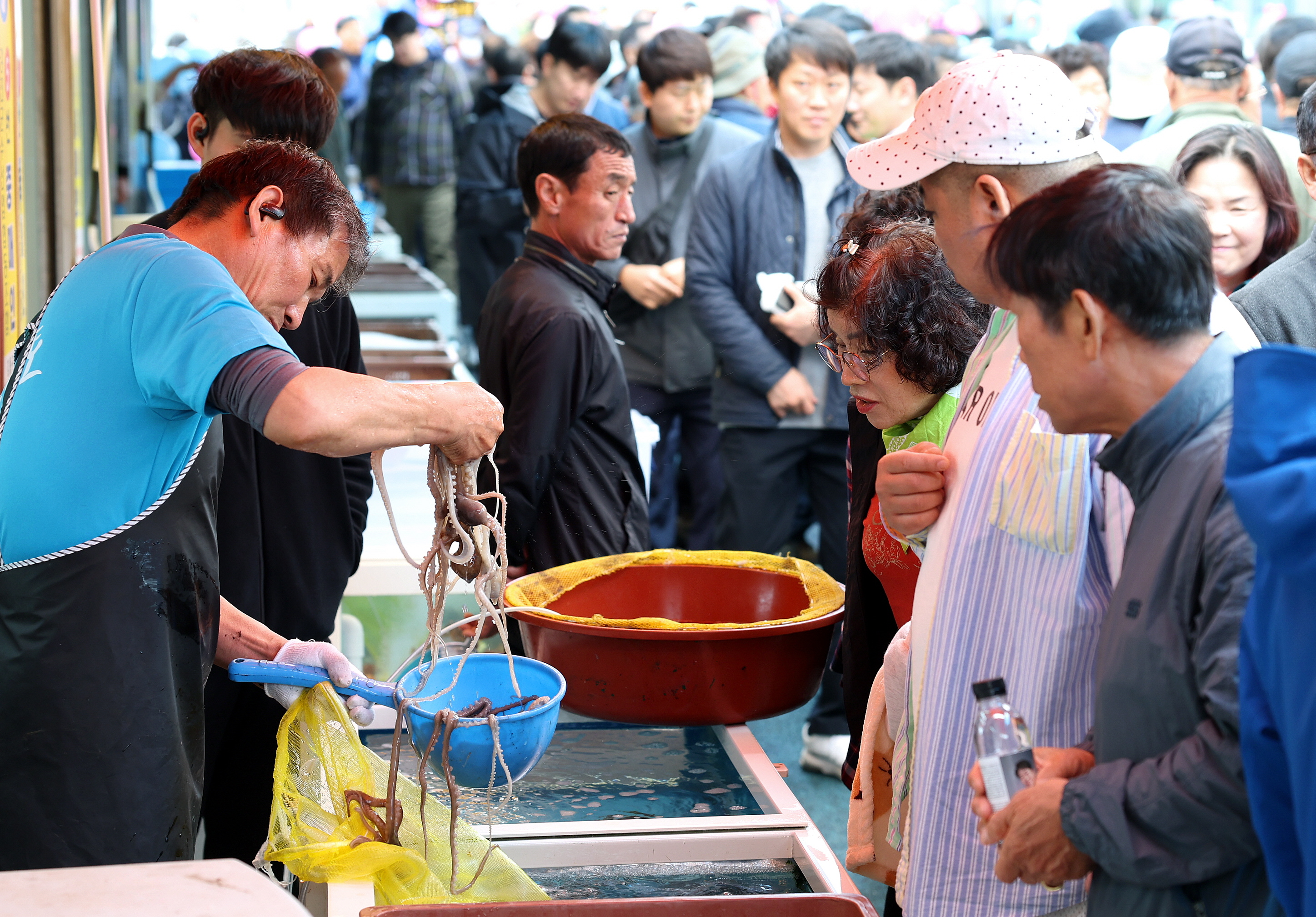 강진 마량놀토수산시장 개장, 관광객 ‘북적’