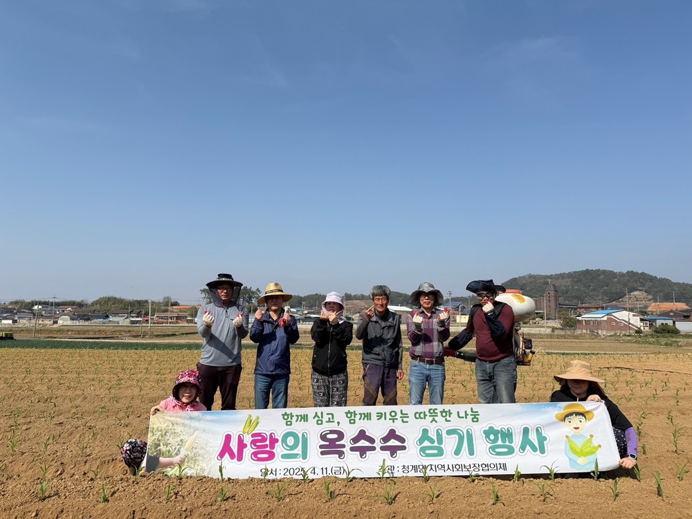청계면 지역사회보장협의체, 옥수수 심어 복지 운영기금 마련 나서