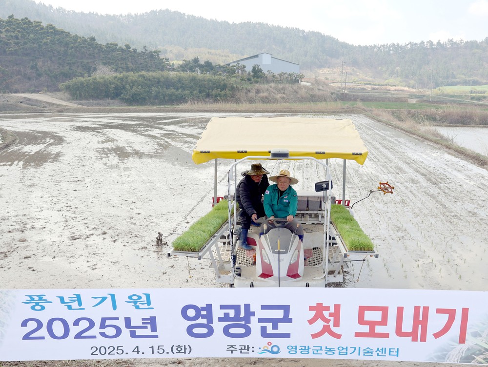 영광군, 2025년 첫 모내기 실시