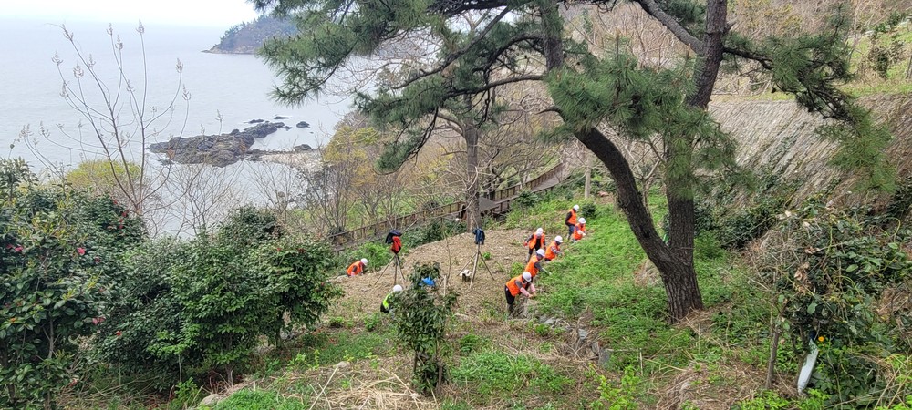 영광군, 백수해안도로 산림 경관 정비 사업 실시