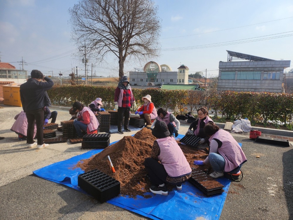 백일홍 피는 여름 영암 태간천으로 꽃보러 오세요
