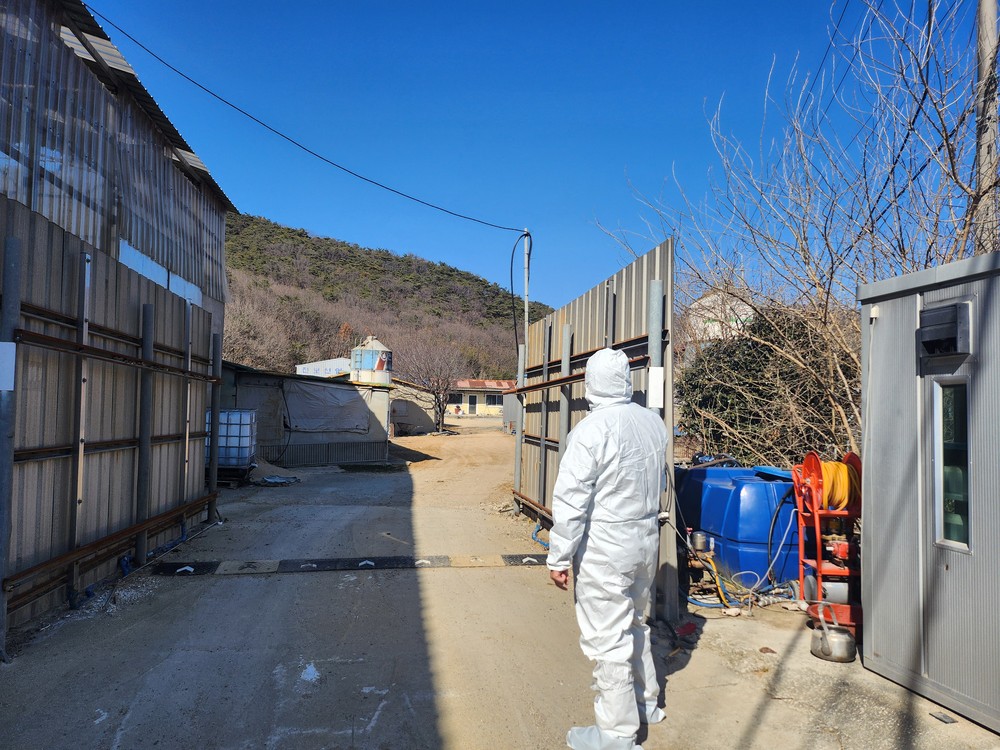 김해시, 축산농가 대상 정기점검 추진