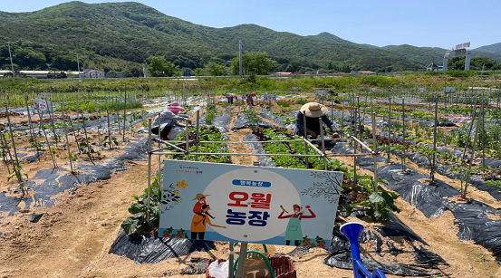 김해시, ‘리틀 포레스트 팜 운영 지원사업’ 체험자 추가 모집