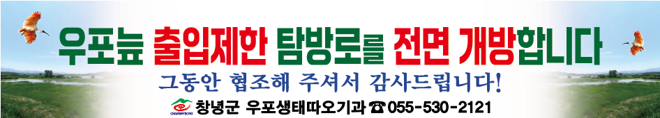 창녕군, AI 방역 조치 해제…우포늪 탐방로 전면 개방