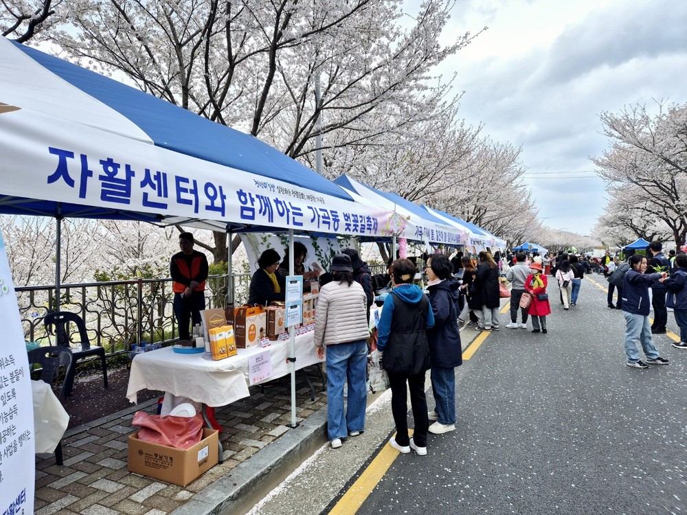 경남밀양지역자활센터, 가곡동 벚꽃길 축제 자활생산품 홍보부스 운영