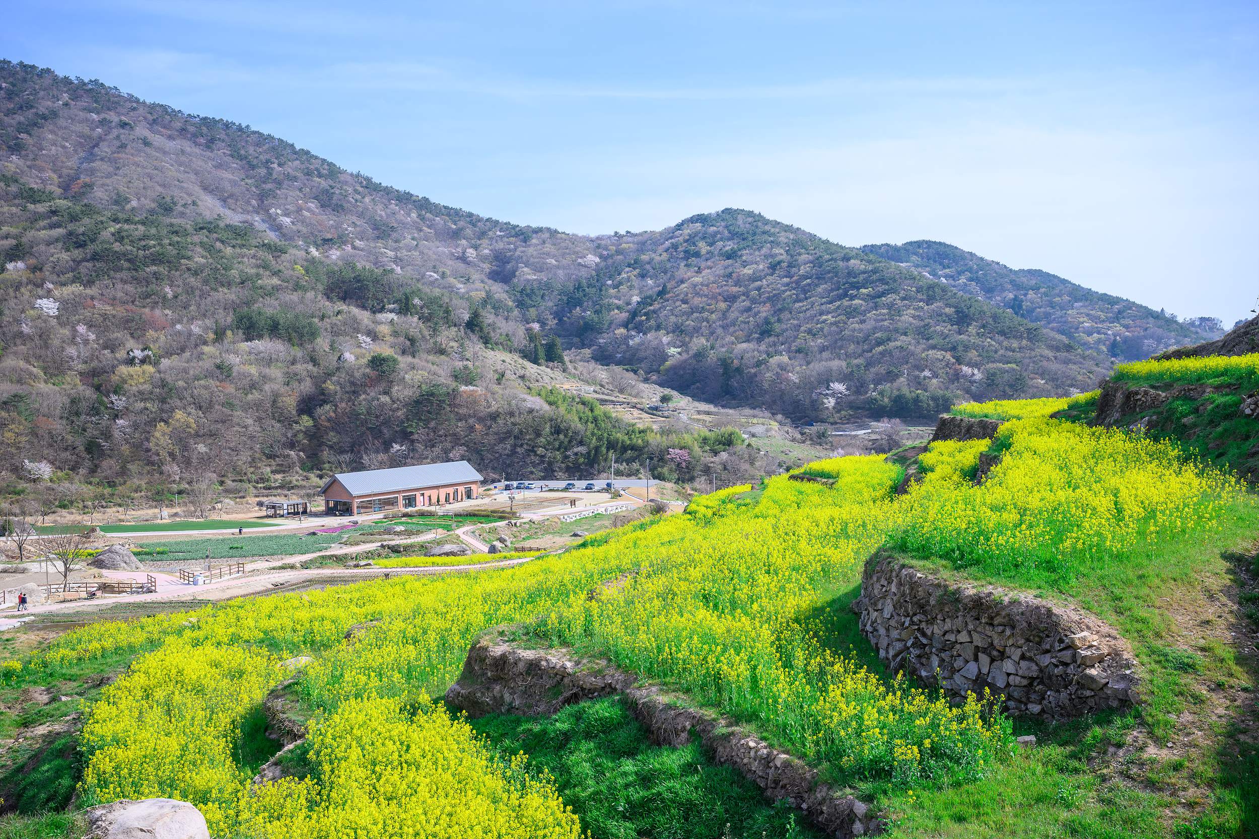 미조면 지역단체 산불예방 캠페인