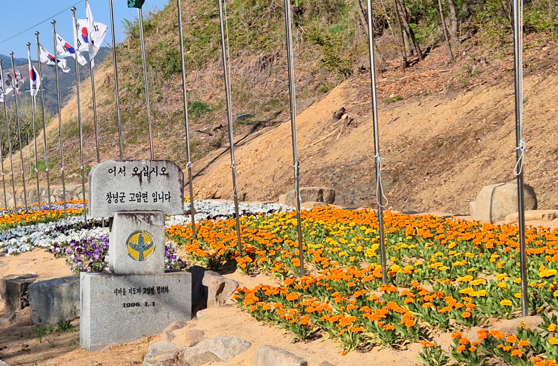 고암면, 봄꽃 화단으로 환한 첫인상 조성