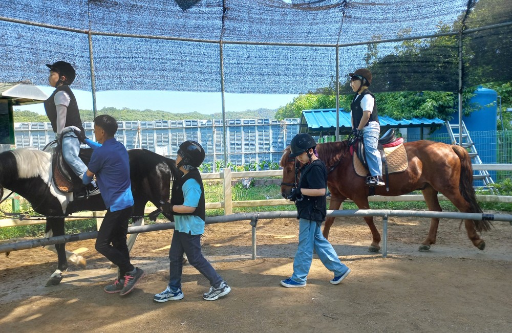 말 타며 배우는 집중력과 자신감…과천시, 학생 승마체험 지원사업 추진