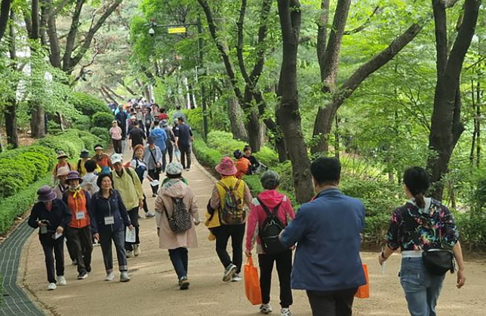 성남시, 지역별 3곳서 한마음 치매 극복 걷기 행사 개최