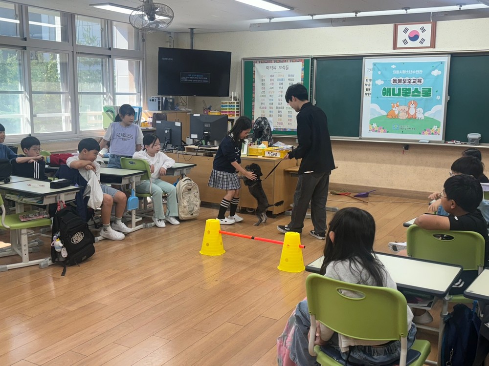의왕시청소년재단, 학교로 찾아가는 동물보호교육 <애니멀스쿨> 운영
