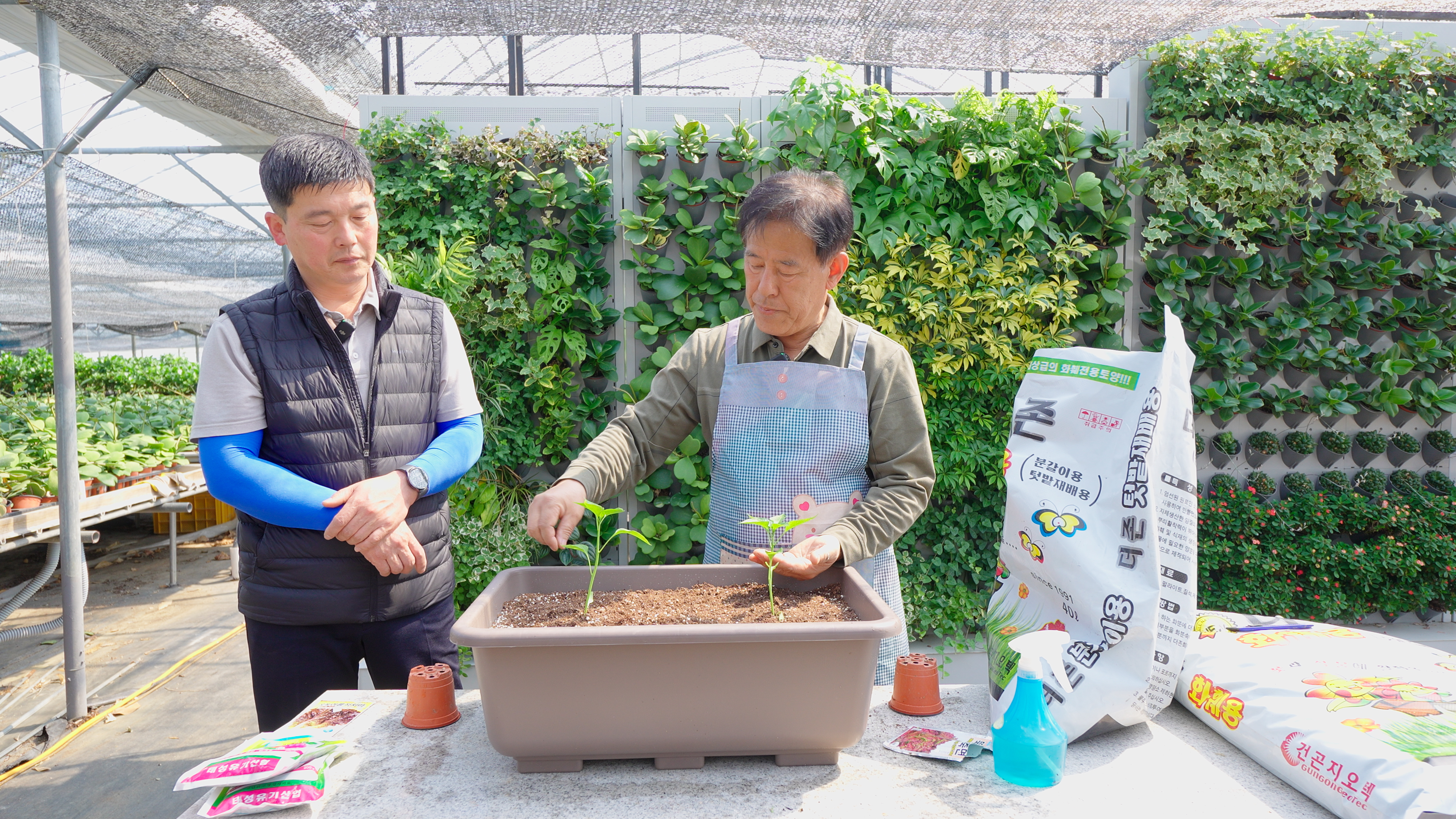 북구, 도시농업 텃밭상자·도시텃밭 등 호응