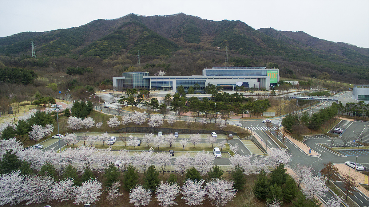대구미술관, 2025 국제 심포지엄 4월 23일 개최