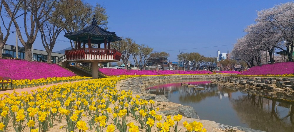 양지천 기적! 순창군의 핫플레이스로 변신!