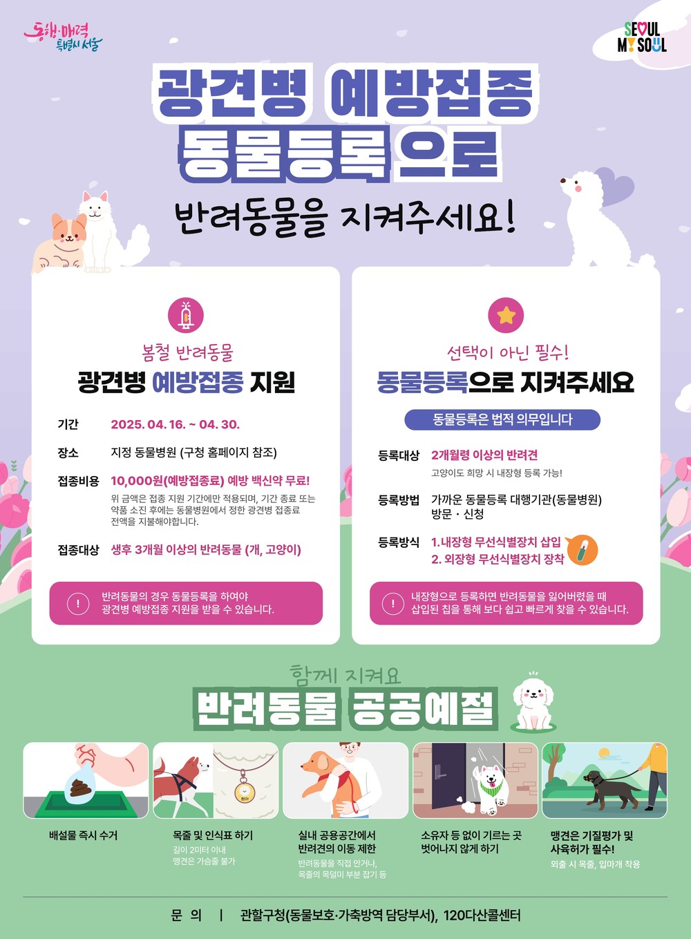 성동구, 봄철 광견병 예방접종 실시…반려동물 1,350마리 대상