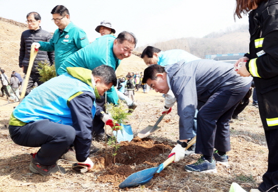 ‘제80회 파주시 식목행사’…화백나무 1천 그루 식재