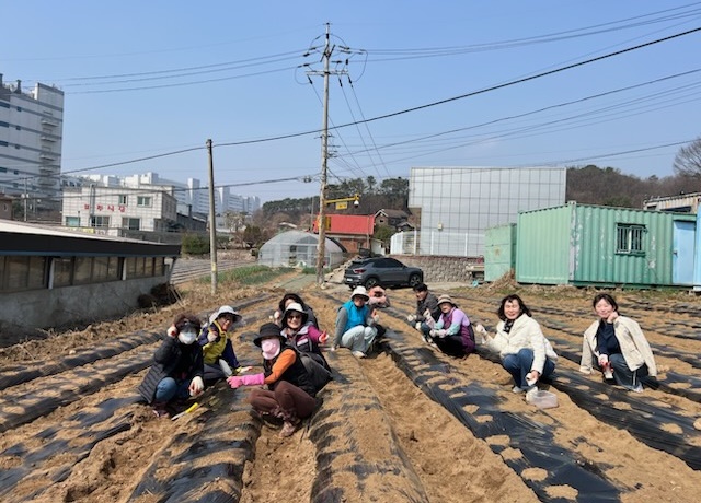 파주시 월롱면 청소년지도위원회,‘옥수수 재배’로 청소년에게 자연 체험 시간 제공