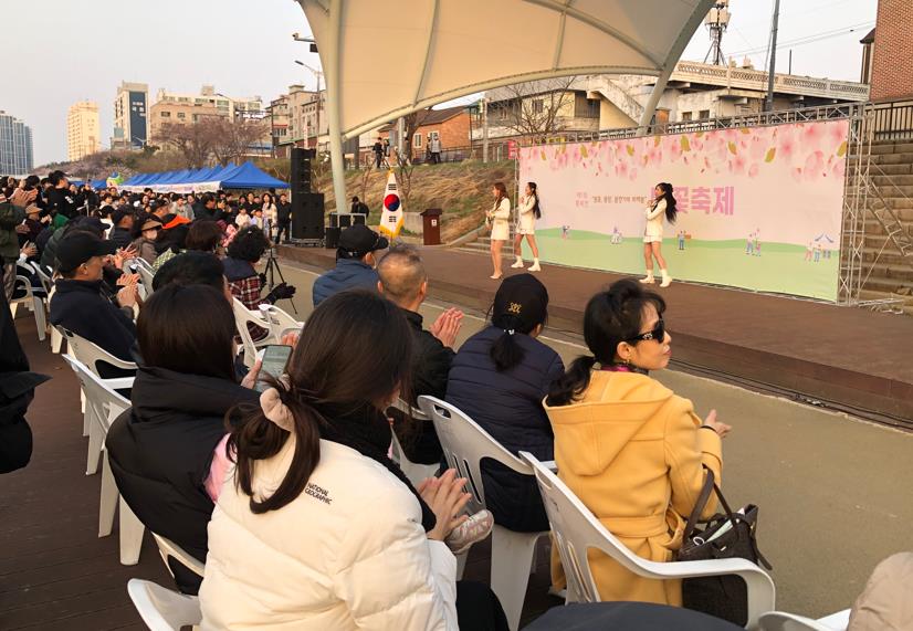 평택시 ‘제1회 통복천 벚꽃축제’ 성황