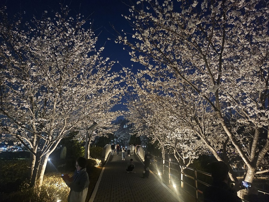운정호수공원 봄맞이 새단장에 도심속 산책길 명소로 부상