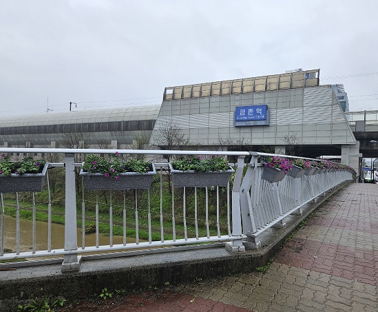 금촌1동, 금촌천 교량에 사피니아 꽃길 조성