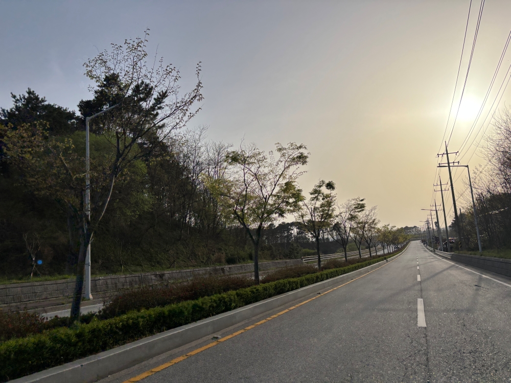 남원맞이 도시경관 변화 추진...북남원IC 부근 홍가시로 도심에 붉은 아름다움을 더하다
