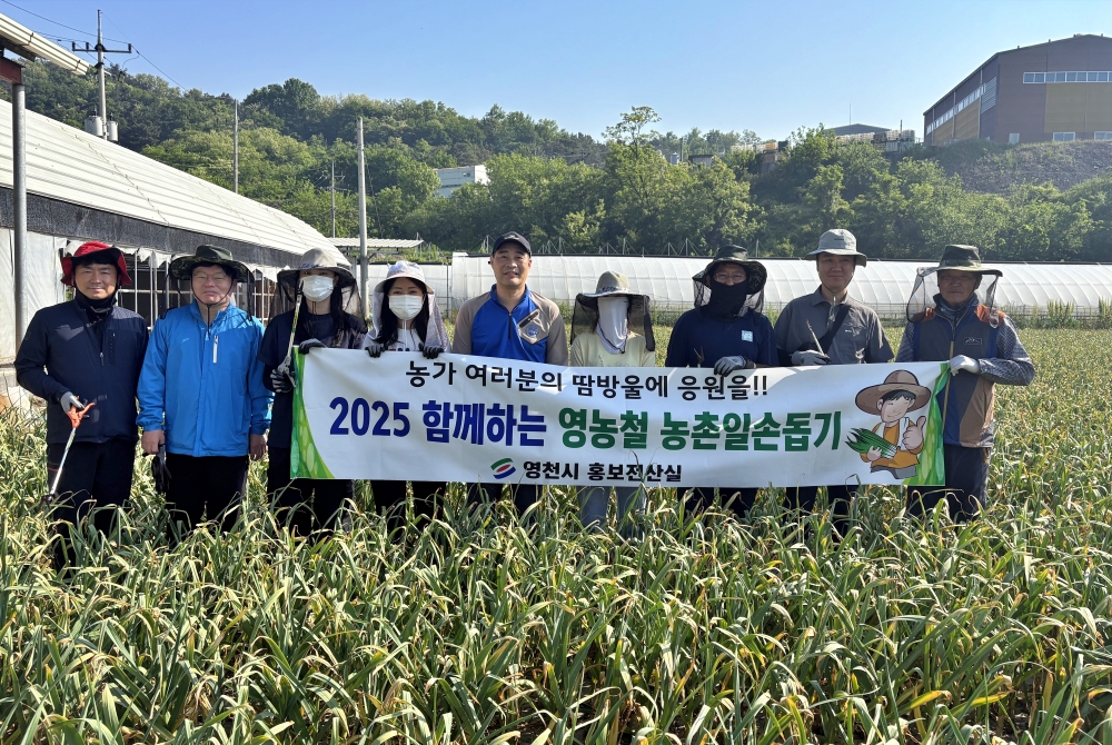 영천시 홍보전산실,일손 부족한 농가에 ‘든든한 지원군’마늘종 제거 작업에 구슬땀