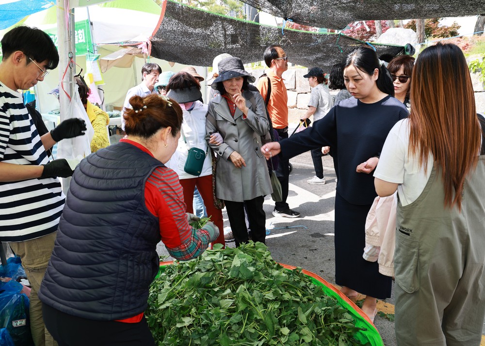 산나물 축제 대신 ‘희망의 장터’로 5. 9.~5.11. 영양 산나물 먹거리 한마당