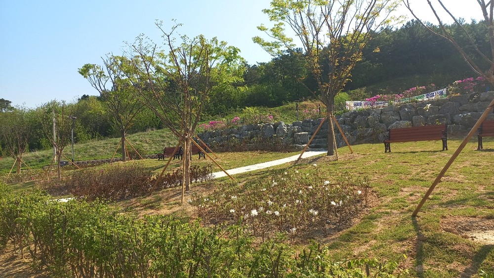 예산군, 예산군립도서관 녹색쌈지숲 조성 완료