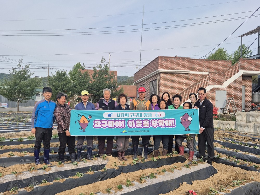 예산군 봉산면지역사회보장협의체, ‘사랑의 고구마’ 심기 행사 개최
