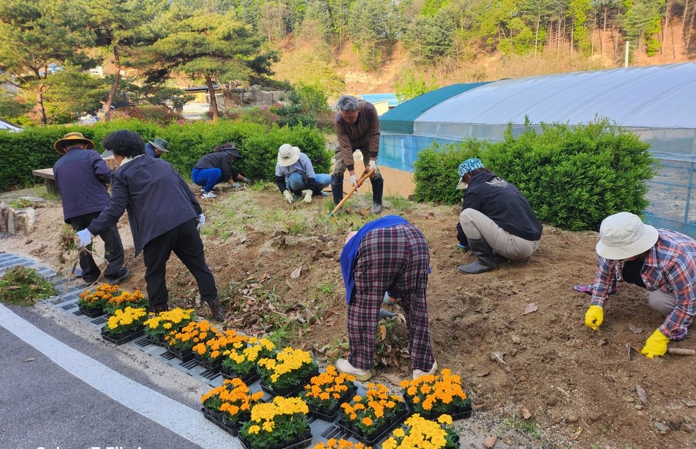 포천 화현면 주민자치회, 행복마을 만들기 ‘꽃고을 마을 꽃심기’ 마쳐