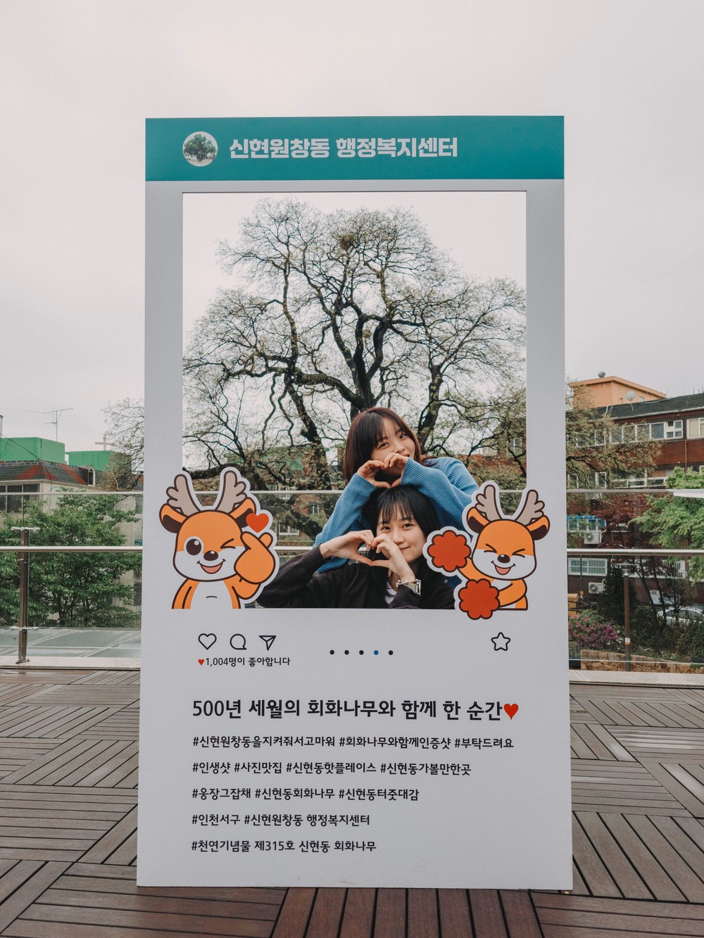 인천 서구 신현원창동 행정복지센터, 회화나무 포토존 설치 눈길