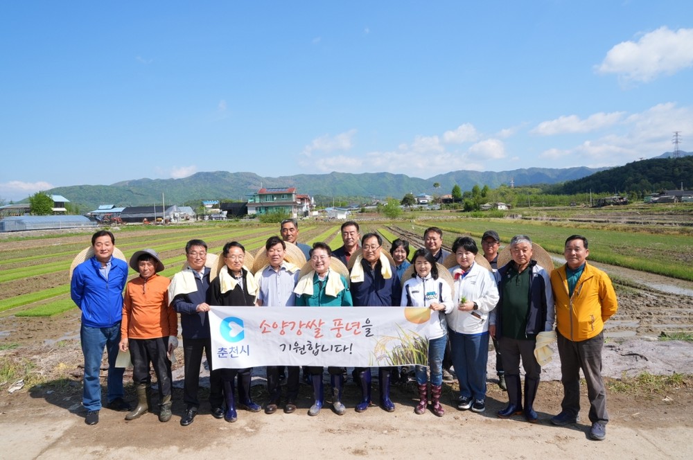 춘천시, 올해 모내기 행사 추진 ··· 대풍 기원