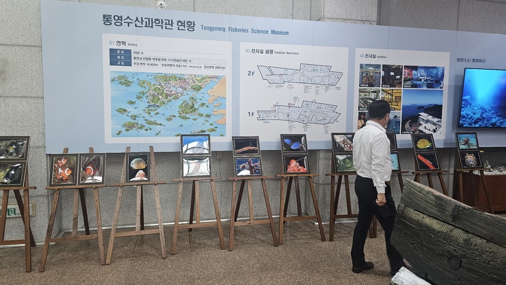 통영관광개발공사, 어린이날 특집 물고기 사진전 개최