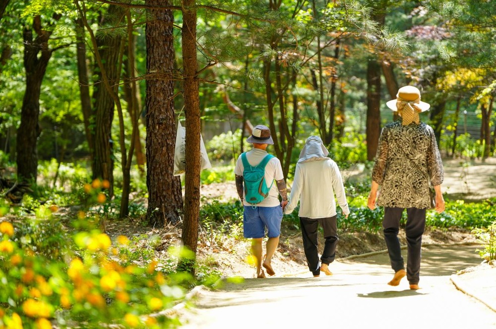 강북구, ‘강북형 북한산 웰니스 관광 활성화 계획’ 수립… 웰니스 관광 사업 본격 추진