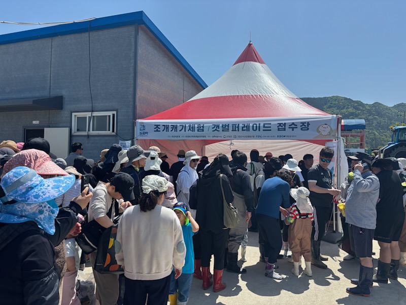 맛·체험·즐거움 가득...고창 하전 바지락 축제에 3만명 북적