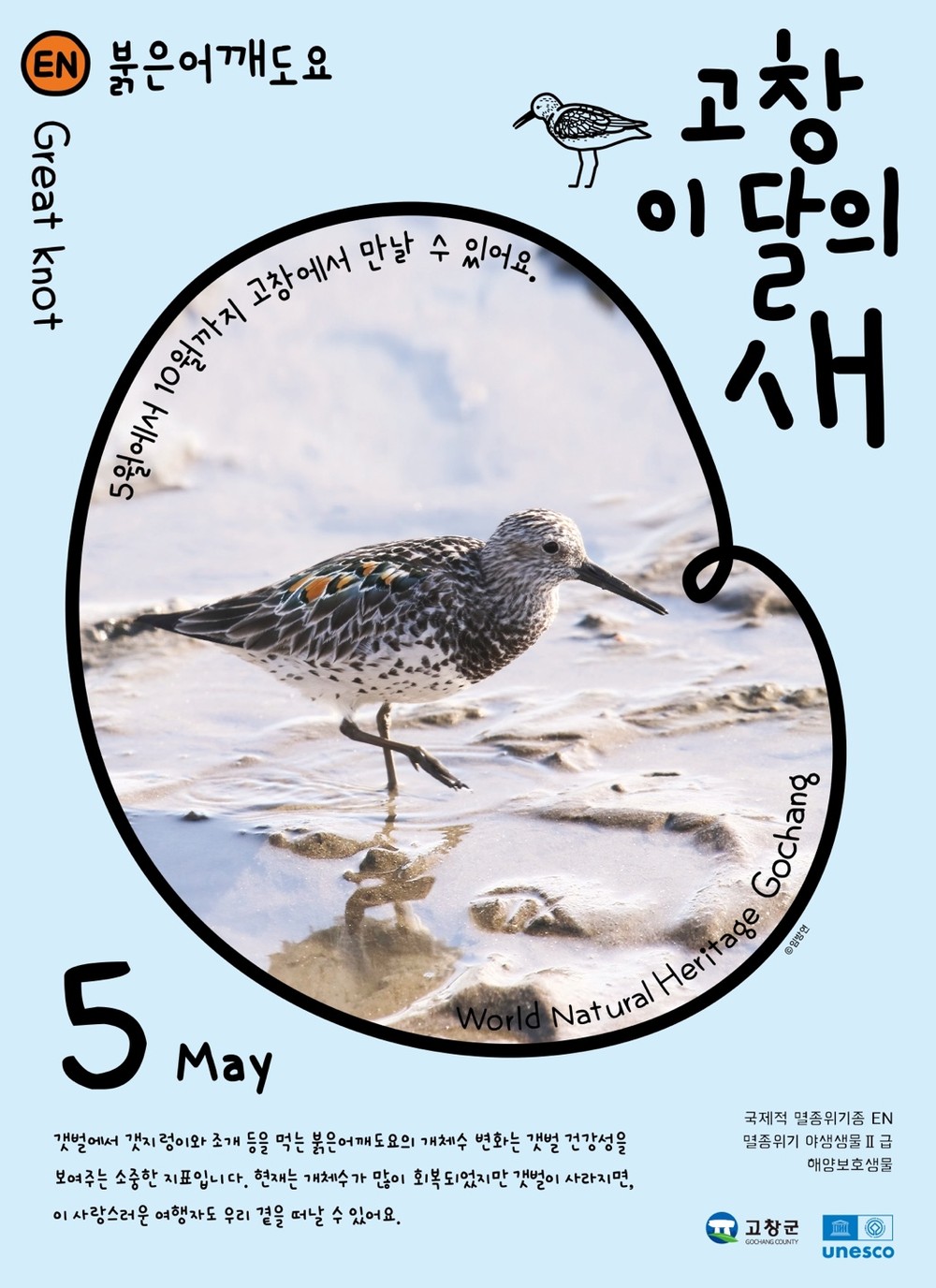 고창군, 5월 ‘고창갯벌 이달의 새’로 붉은어깨도요 선정
